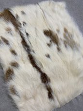 画像2: ラビットファー　ブチ　うさぎ毛皮 (2)