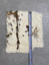 画像3: ラビットファー　ブチ　うさぎ毛皮 (3)