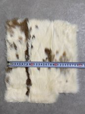 画像4: ラビットファー　ブチ　うさぎ毛皮 (4)