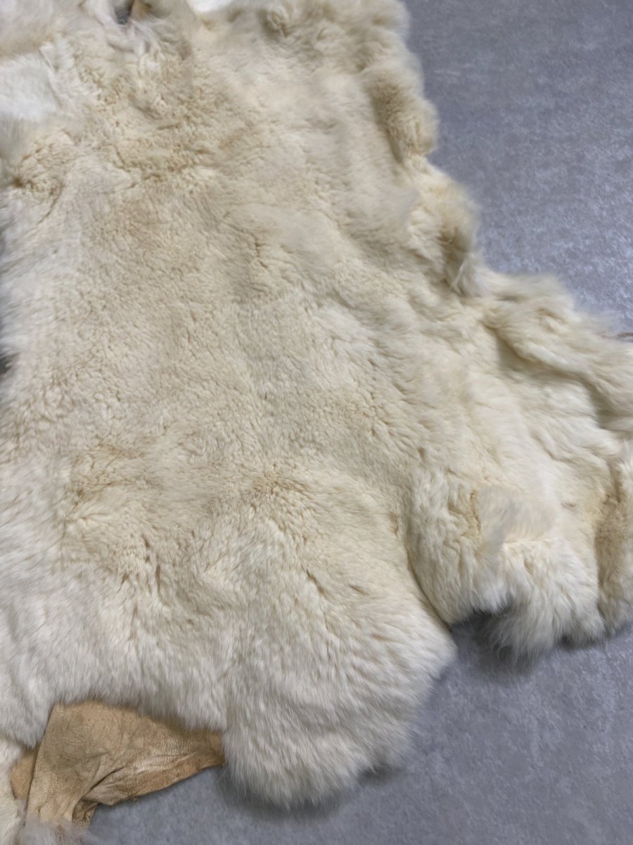 画像3: レッキスラビットファー　クリーム　うさぎ毛皮 (3)