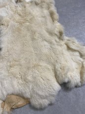 画像3: レッキスラビットファー　クリーム　うさぎ毛皮 (3)