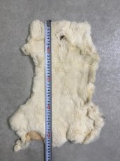 画像4: レッキスラビットファー　クリーム　うさぎ毛皮 (4)
