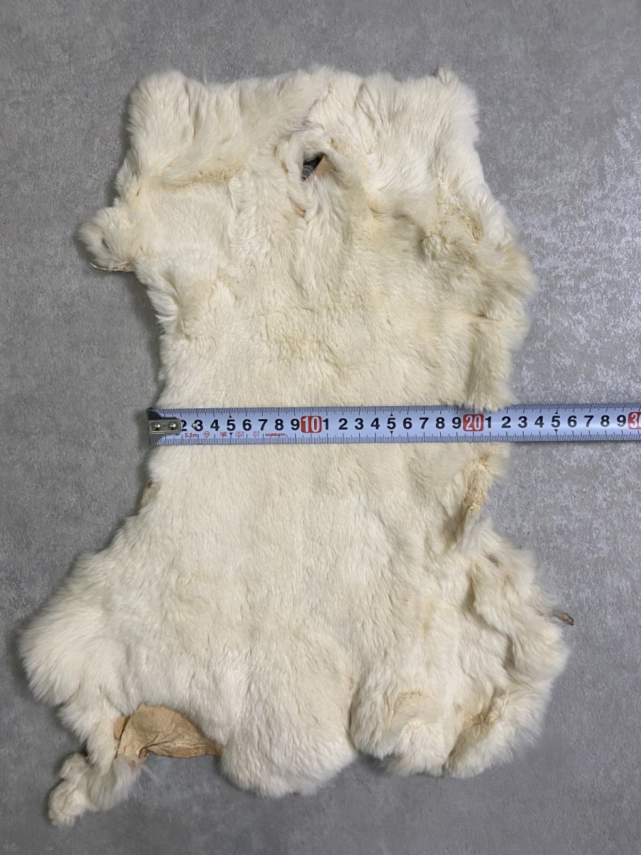 画像5: レッキスラビットファー　クリーム　うさぎ毛皮 (5)