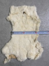 画像5: レッキスラビットファー　クリーム　うさぎ毛皮 (5)