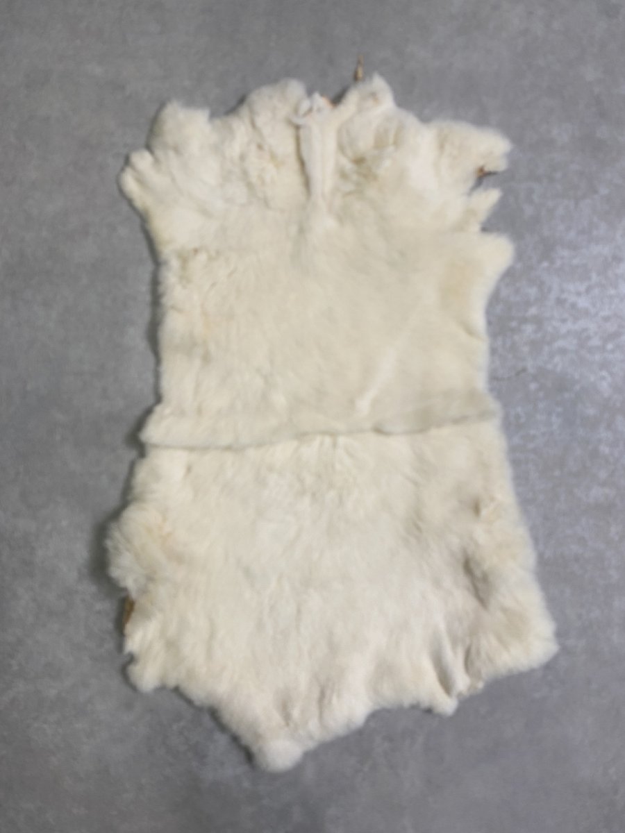 画像1: レッキスラビットファー　クリーム　うさぎ毛皮 (1)