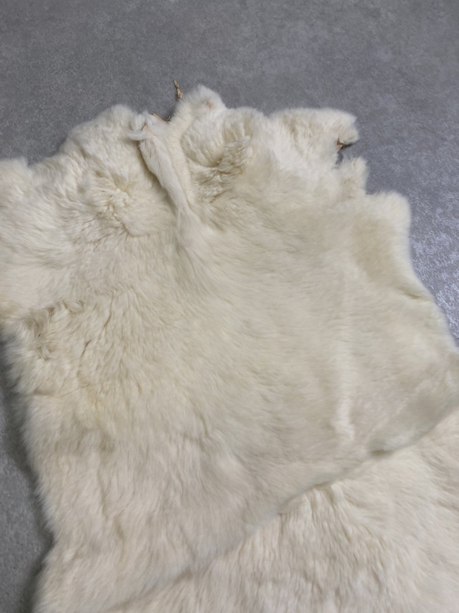 画像2: レッキスラビットファー　クリーム　うさぎ毛皮 (2)