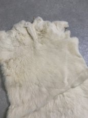 画像2: レッキスラビットファー　クリーム　うさぎ毛皮 (2)