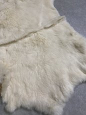 画像3: レッキスラビットファー　クリーム　うさぎ毛皮 (3)