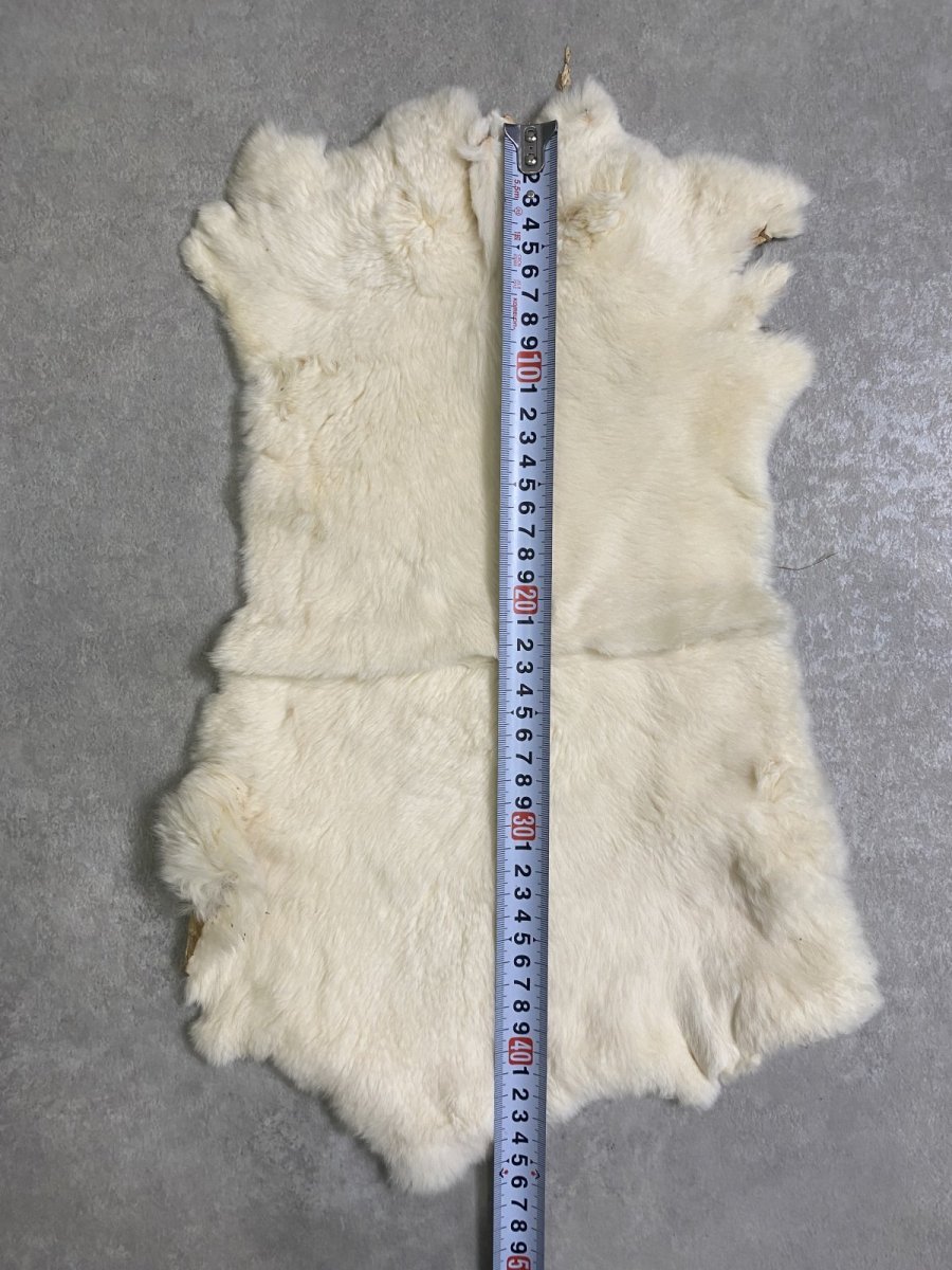 画像4: レッキスラビットファー　クリーム　うさぎ毛皮 (4)