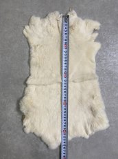 画像4: レッキスラビットファー　クリーム　うさぎ毛皮 (4)