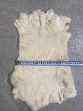 画像5: レッキスラビットファー　クリーム　うさぎ毛皮 (5)