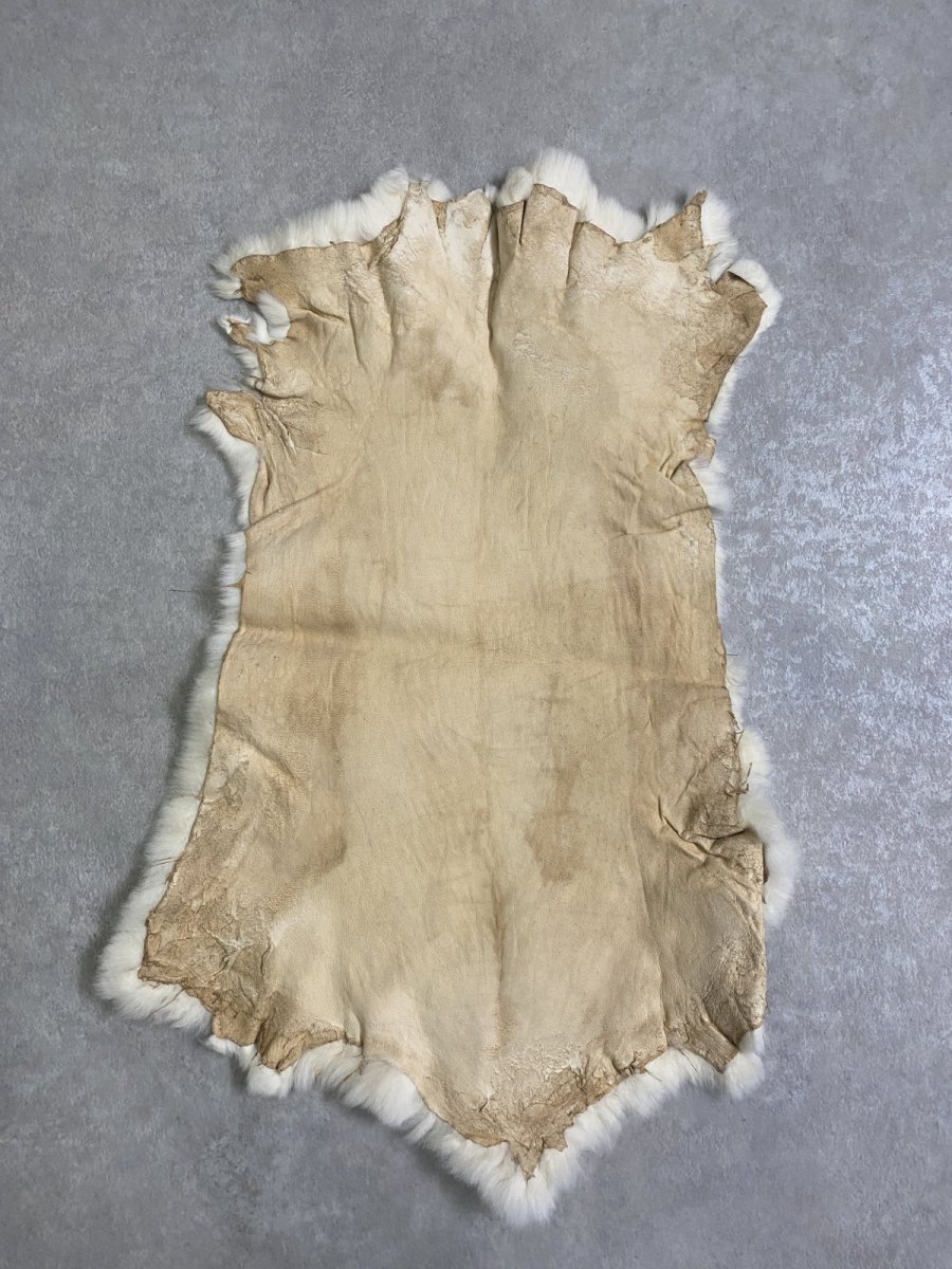 画像6: レッキスラビットファー　クリーム　うさぎ毛皮 (6)