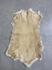 画像6: レッキスラビットファー　クリーム　うさぎ毛皮 (6)