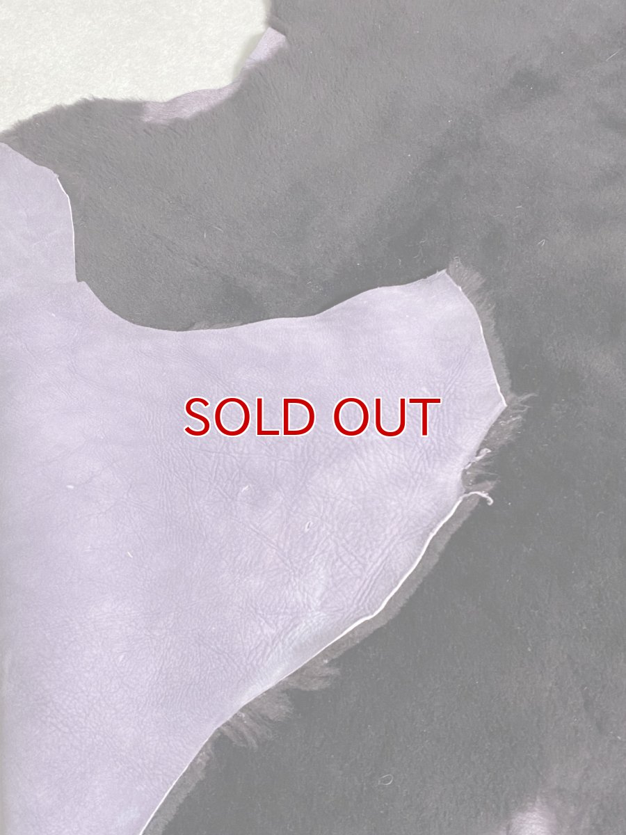 画像4: スパニッシュメリノムートン　毛皮　パープル (4)