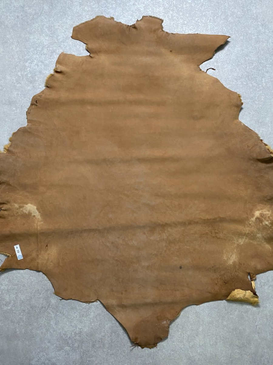 画像9: カンガルー毛皮 カンガルーヘアー ライトキャメル (9)