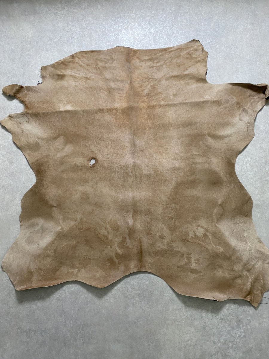 画像1: ヘアーカーフ　ベージュ　牛革毛付き　毛皮　 (1)