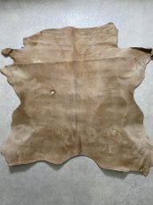 画像1: ヘアーカーフ　ベージュ　牛革毛付き　毛皮　 (1)