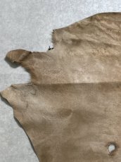 画像2: ヘアーカーフ　ベージュ　牛革毛付き　毛皮　 (2)