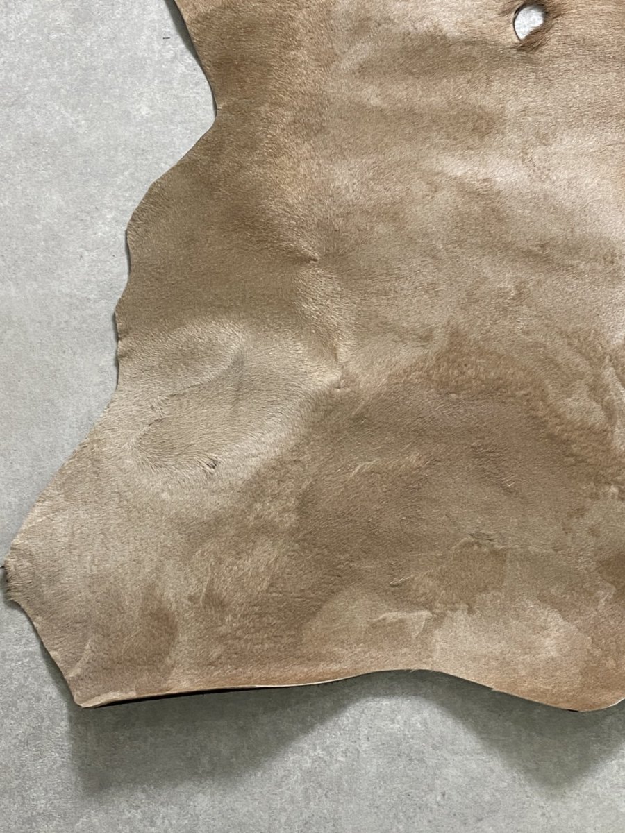 画像4: ヘアーカーフ　ベージュ　牛革毛付き　毛皮　 (4)