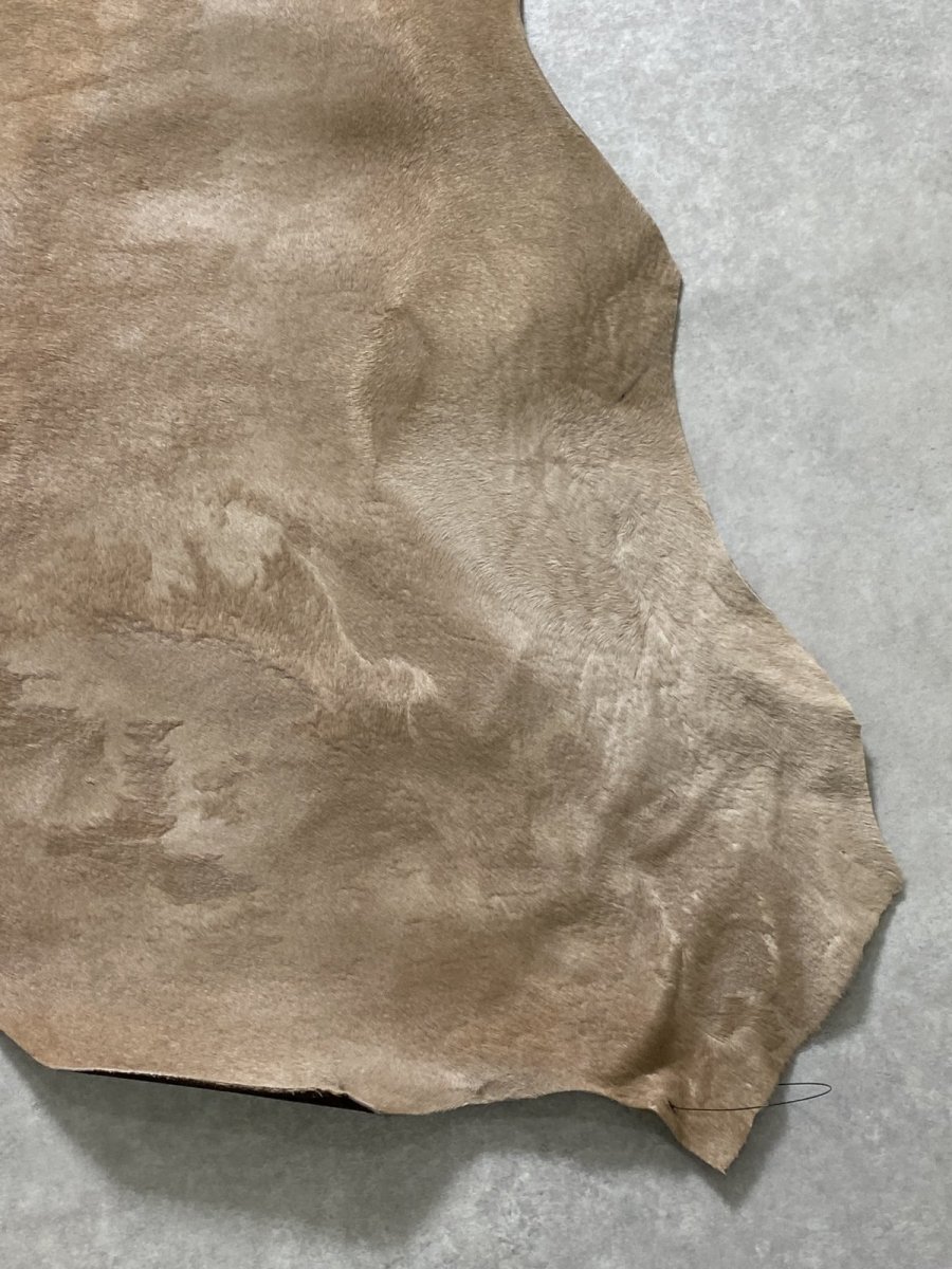 画像5: ヘアーカーフ　ベージュ　牛革毛付き　毛皮　 (5)