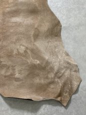 画像5: ヘアーカーフ　ベージュ　牛革毛付き　毛皮　 (5)