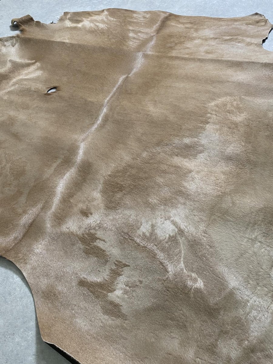 画像6: ヘアーカーフ　ベージュ　牛革毛付き　毛皮　 (6)