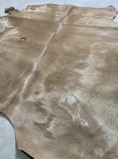 画像6: ヘアーカーフ　ベージュ　牛革毛付き　毛皮　 (6)
