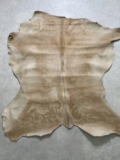 画像1: ヘアーカーフ　ベージュ　牛革毛付き　毛皮　 (1)
