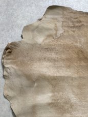 画像2: ヘアーカーフ　ベージュ　牛革毛付き　毛皮　 (2)