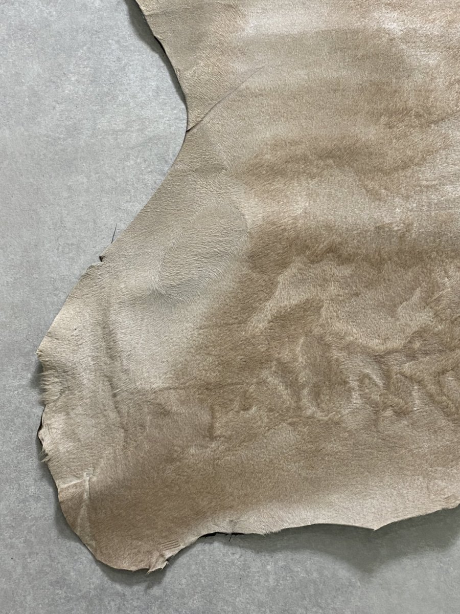 画像4: ヘアーカーフ　ベージュ　牛革毛付き　毛皮　 (4)