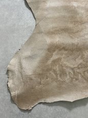 画像4: ヘアーカーフ　ベージュ　牛革毛付き　毛皮　 (4)