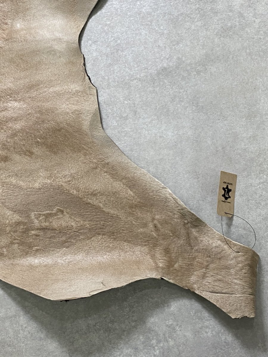 画像5: ヘアーカーフ　ベージュ　牛革毛付き　毛皮　 (5)