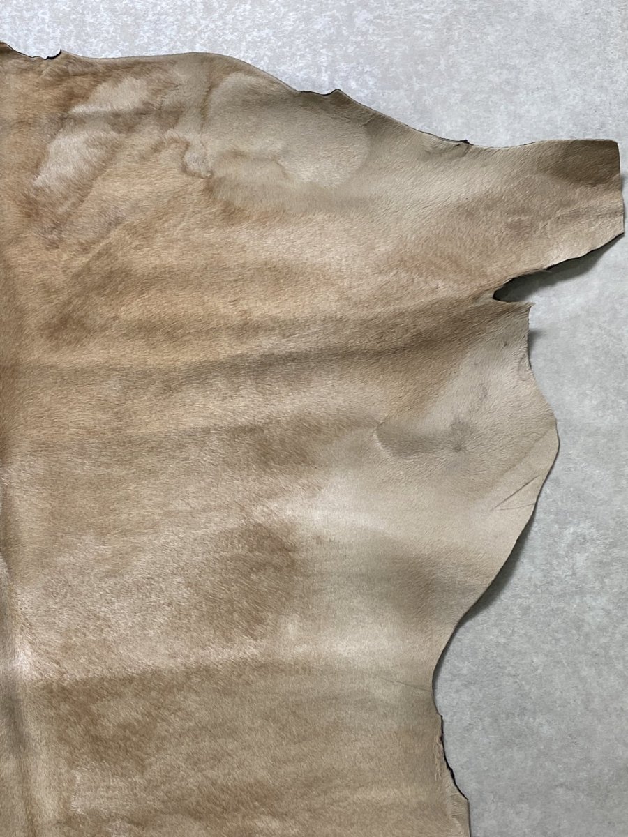 画像3: ヘアーカーフ　ベージュ　牛革毛付き　毛皮　 (3)