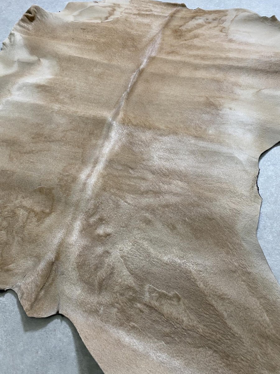画像6: ヘアーカーフ　ベージュ　牛革毛付き　毛皮　 (6)