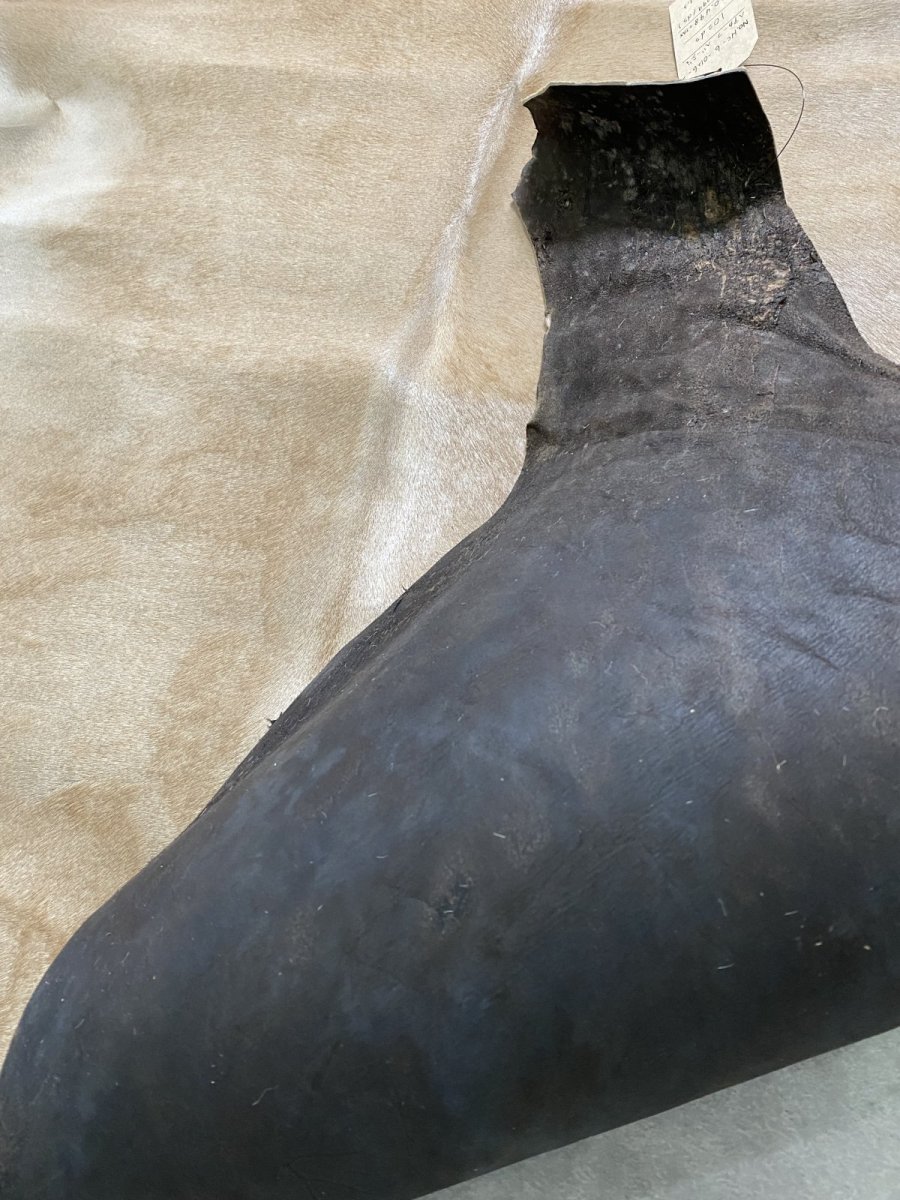 画像8: ヘアーカーフ　ベージュ　牛革毛付き　毛皮　 (8)