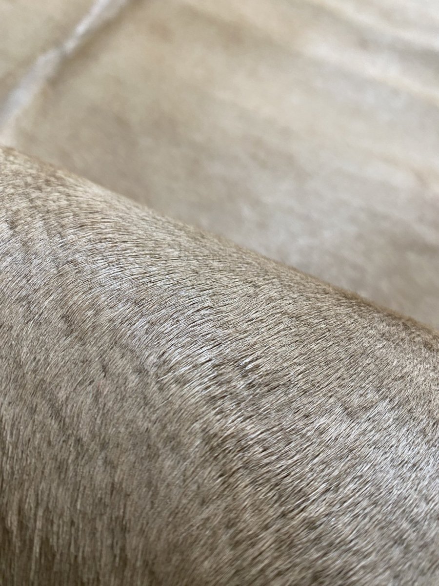 画像7: ヘアーカーフ　ベージュ　牛革毛付き　毛皮　 (7)