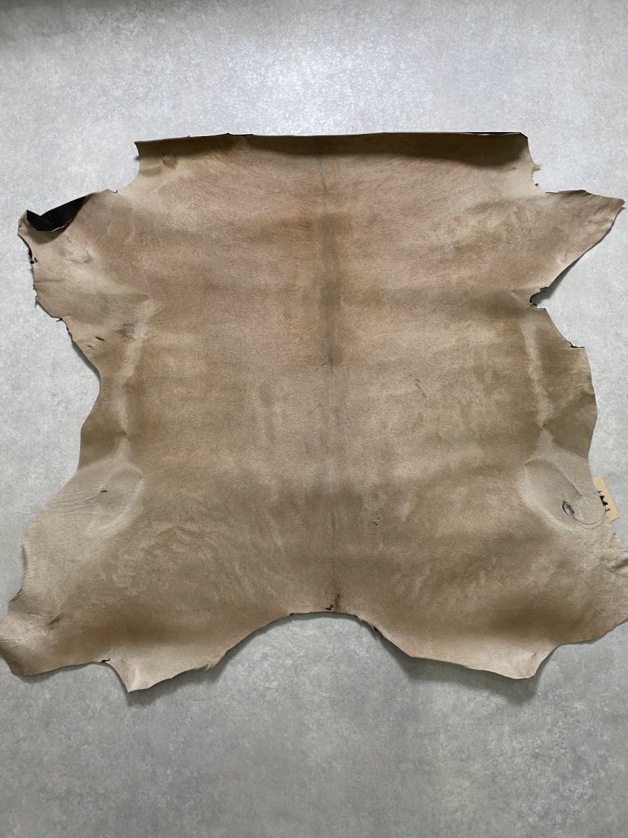 画像1: ヘアーカーフ　ベージュ　牛革毛付き　毛皮　 (1)