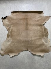 画像1: ヘアーカーフ　ベージュ　牛革毛付き　毛皮　 (1)