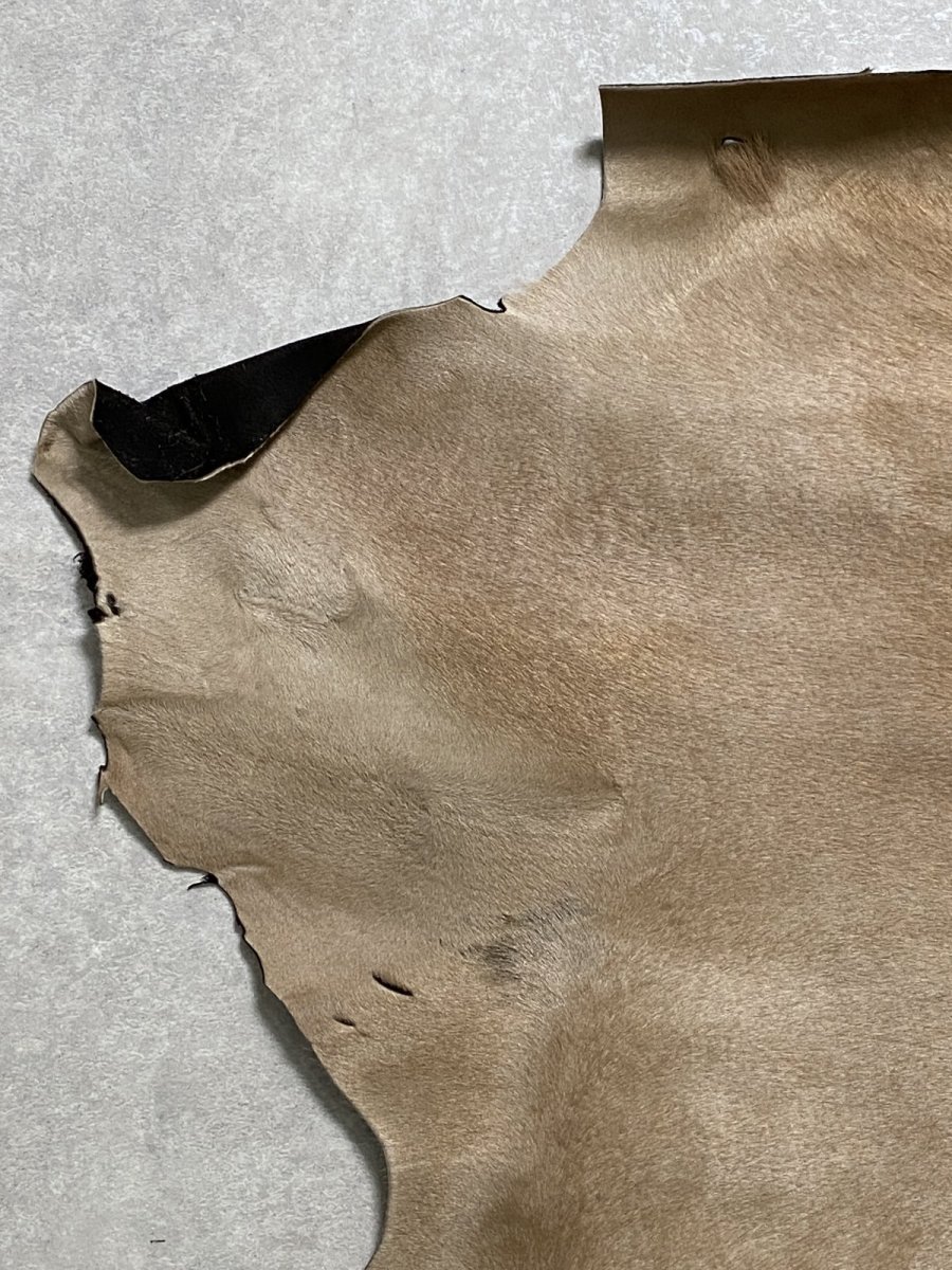 画像2: ヘアーカーフ　ベージュ　牛革毛付き　毛皮　 (2)
