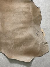 画像5: ヘアーカーフ　ベージュ　牛革毛付き　毛皮　 (5)