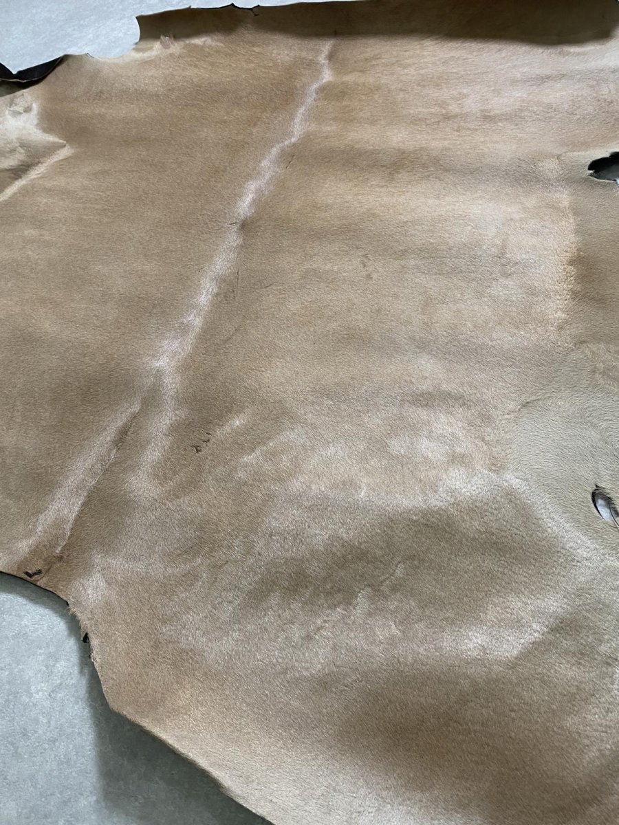 画像6: ヘアーカーフ　ベージュ　牛革毛付き　毛皮　 (6)