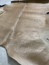 画像6: ヘアーカーフ　ベージュ　牛革毛付き　毛皮　 (6)