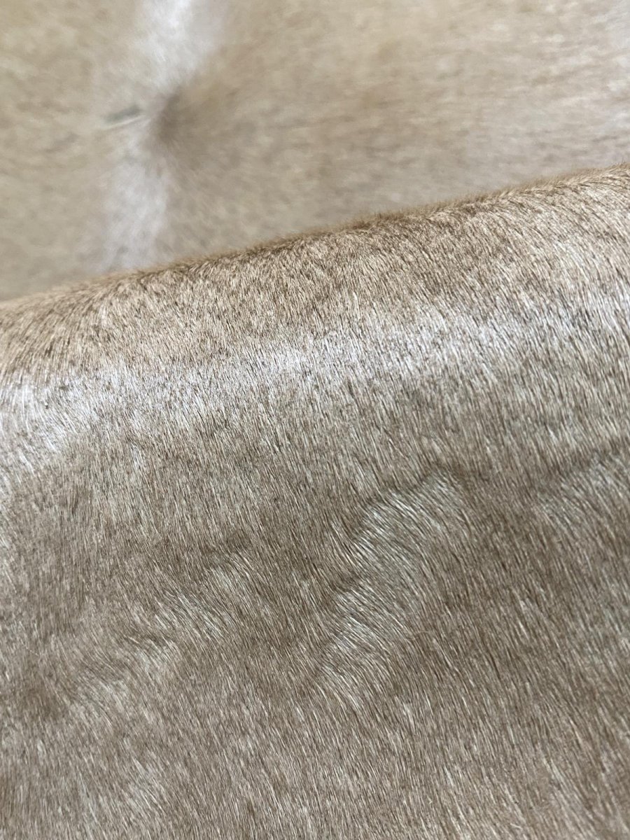 画像8: ヘアーカーフ　ベージュ　牛革毛付き　毛皮　 (8)