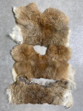 画像1: ラビットファー　ハギレセット　うさぎ毛皮 (1)