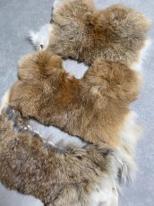 画像2: ラビットファー　ハギレセット　うさぎ毛皮 (2)