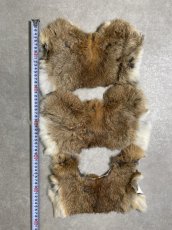 画像4: ラビットファー　ハギレセット　うさぎ毛皮 (4)