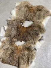 画像2: ラビットファー　ハギレセット　うさぎ毛皮 (2)