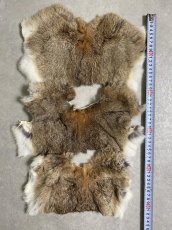 画像3: ラビットファー　ハギレセット　うさぎ毛皮 (3)