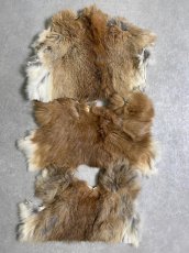 画像1: ラビットファー　ハギレセット　うさぎ毛皮 (1)