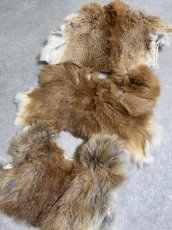 画像2: ラビットファー　ハギレセット　うさぎ毛皮 (2)